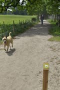 Loslopende hond Houdringe