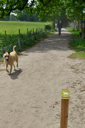 Loslopende hond Houdringe