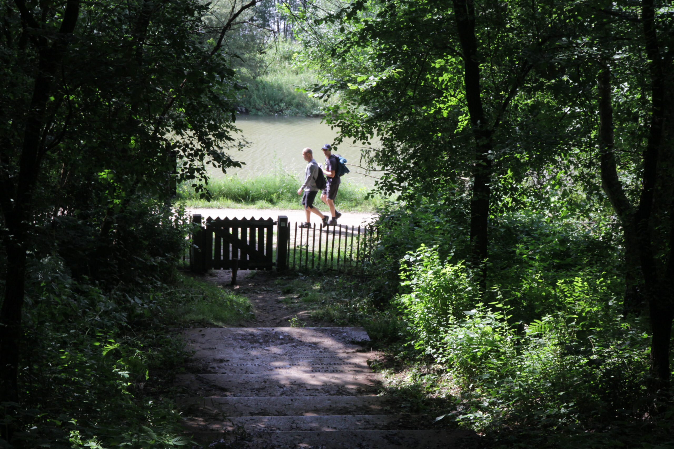 Wandelaars onderlangs de Grebbeberg