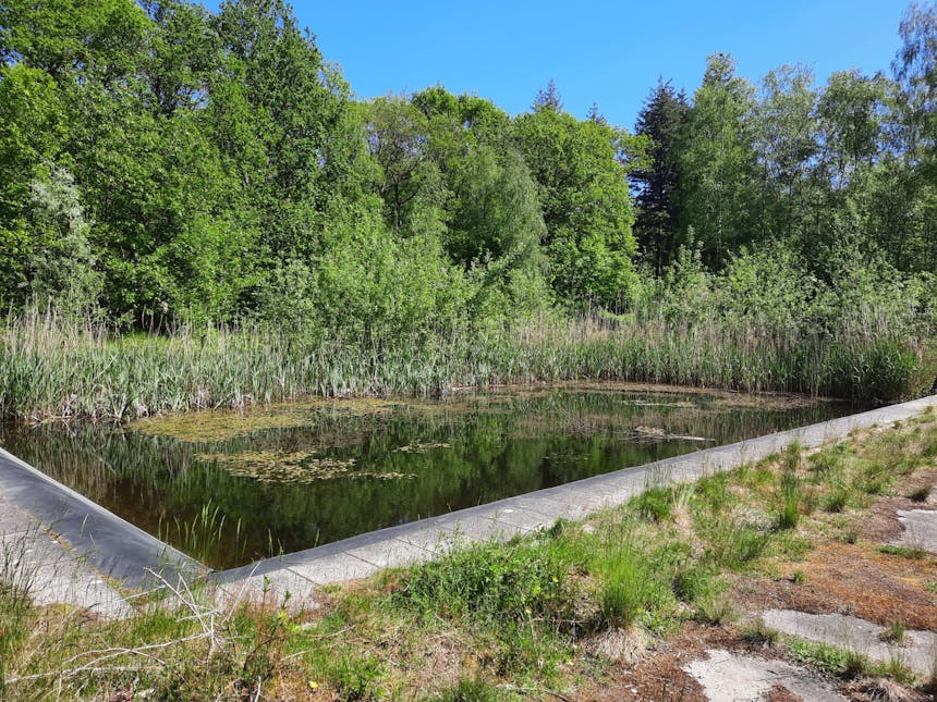 Blusvijver op Park Vliegbasis Soesterberg