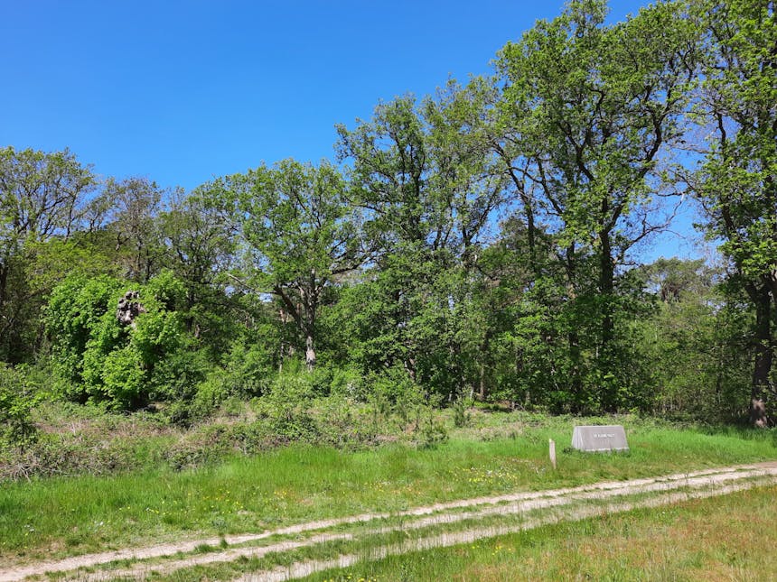 De Kleine Paltz
