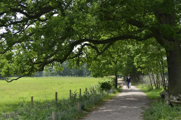 Wandelen bij Beerschoten