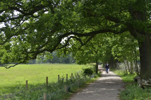 Wandelen bij Beerschoten