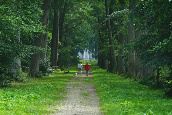 Wandelaars met hond Over Holland