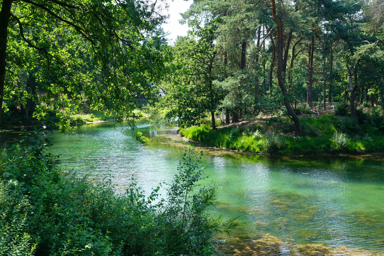Heidestein vijver