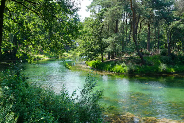 Heidestein vijver