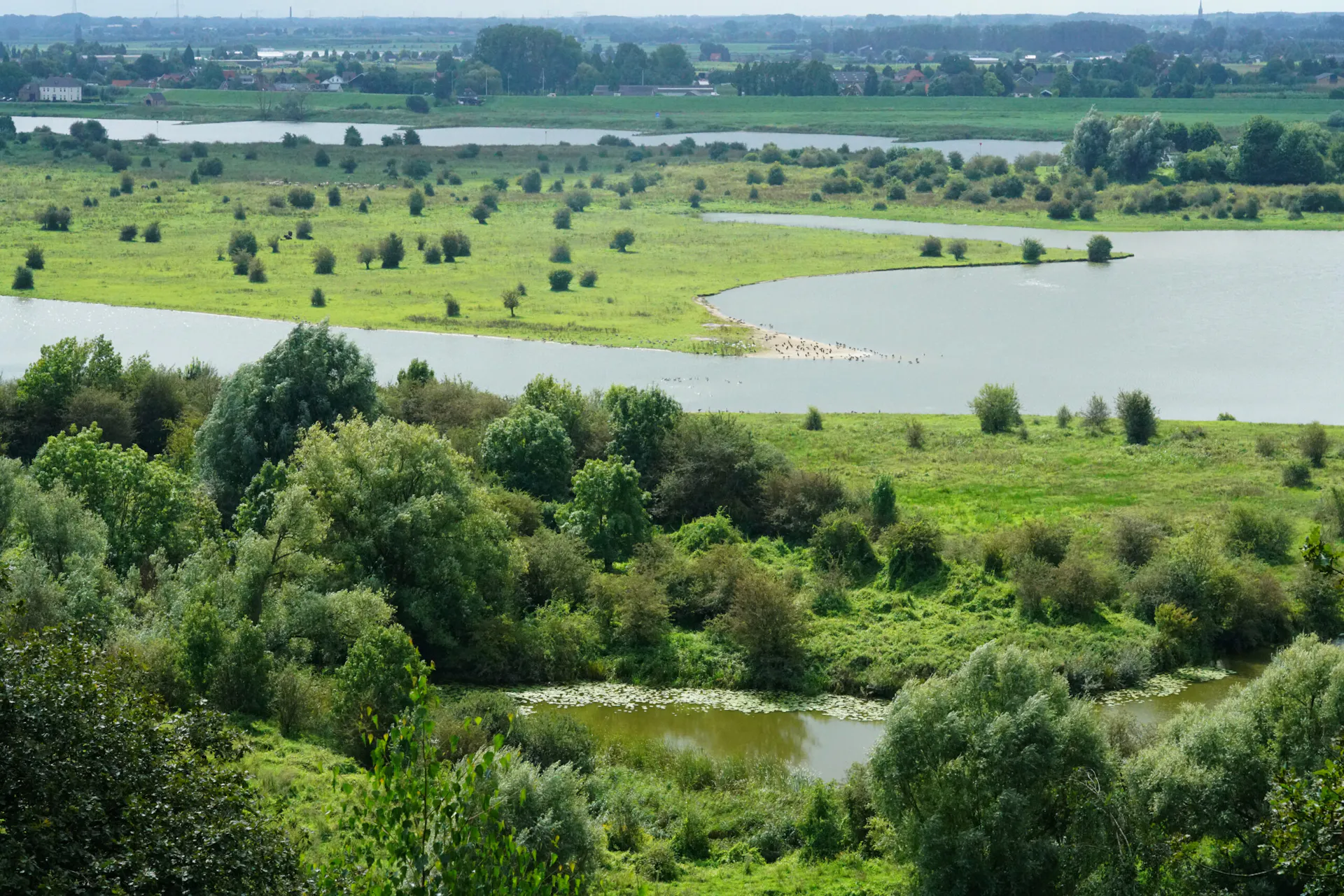 Uitzicht over de blauwe kamer