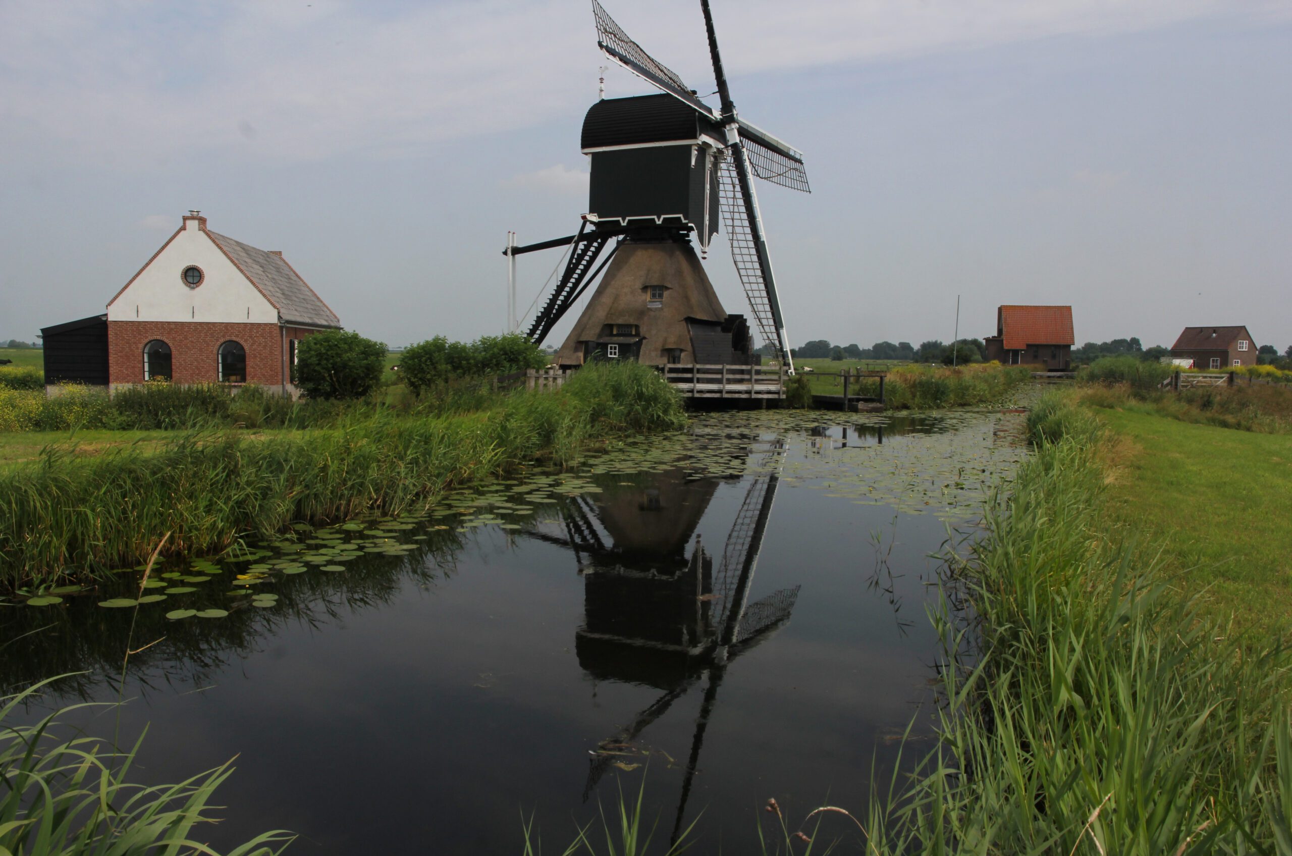 Middelste Molen in Cabauw