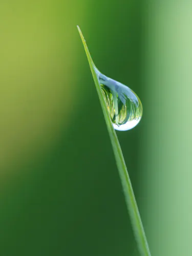 waterdruppel