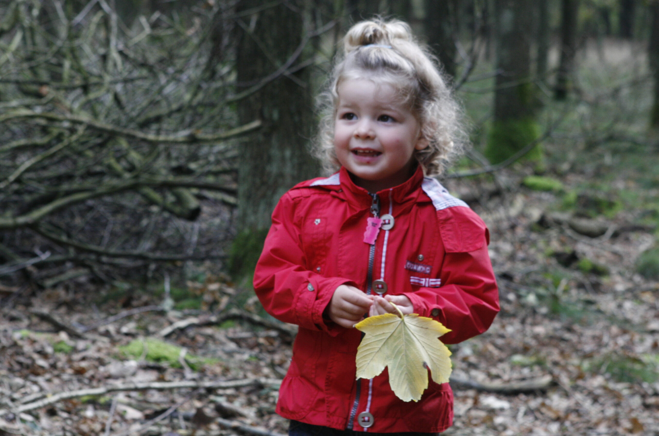 kind met herfstblad in hand