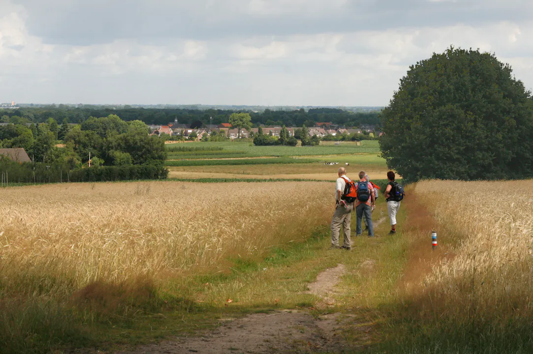 Wandelaars bij Laarsenberg in Rhenen