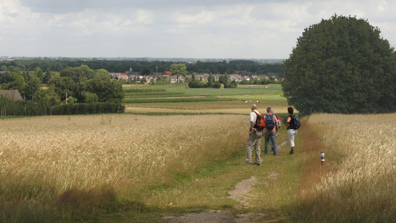 Wandelaars bij Laarsenberg in Rhenen