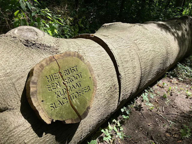 klimaatslachtoffer op Oostbroek