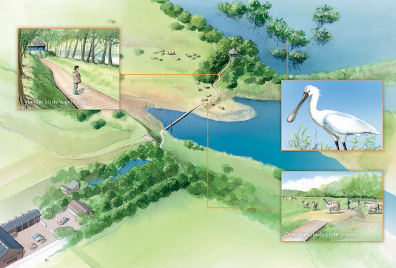 Tekening Vlonderpad Blauwe Kamer