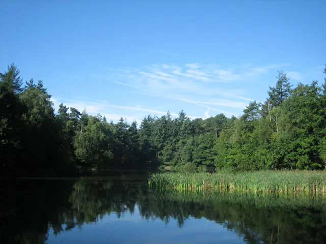 Bosvijver Birkhoven