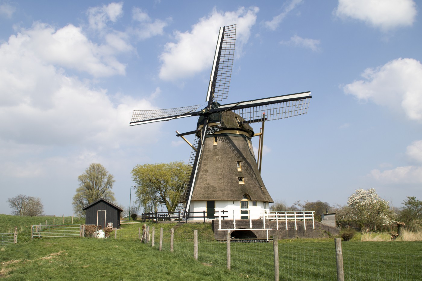 Oostzijdse Molen buiten