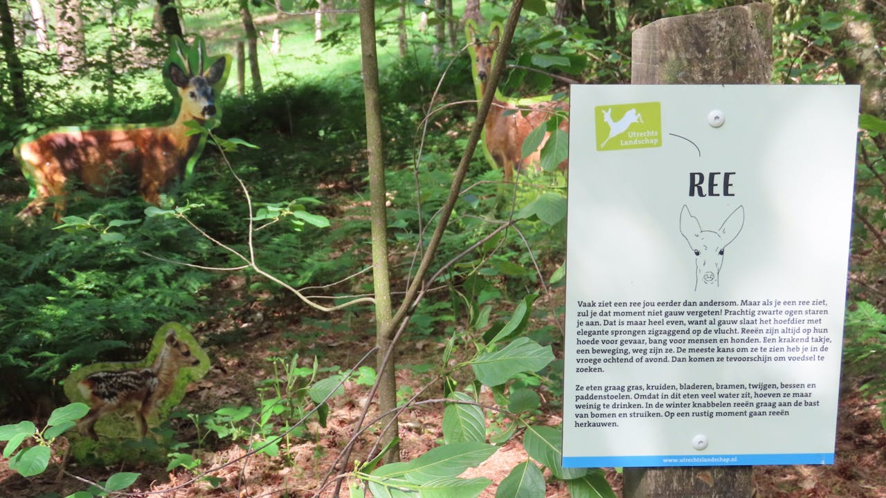 bordje ree Beestenbos Heidestein