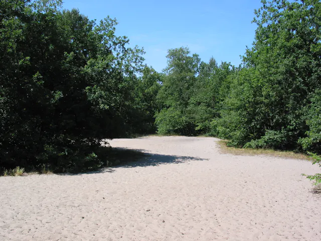 Zandverstuiving Biltse Duinen