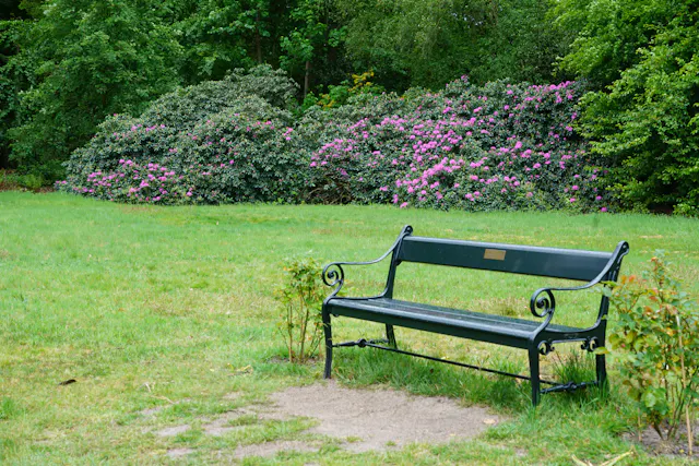bankje Kasteelbos Renswoude