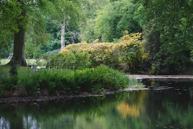 Kasteelbos Renswoude
