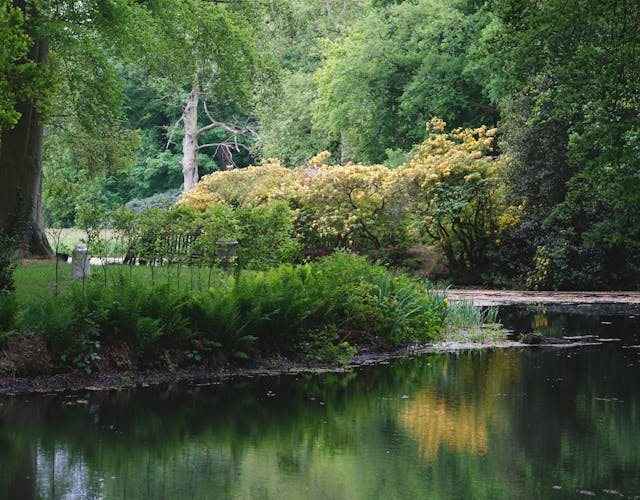 Kasteelbos Renswoude