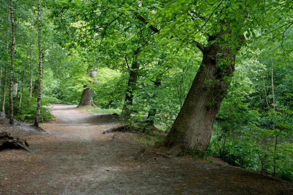 Lockhorsterbos
