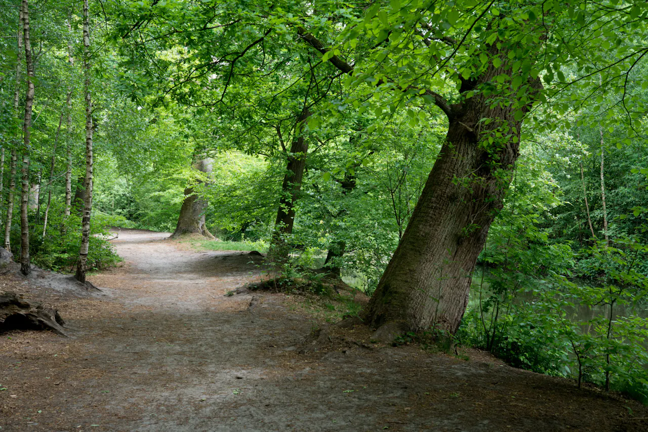Lockhorsterbos