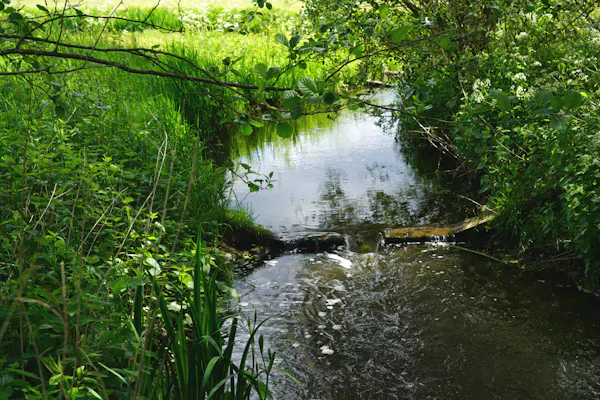 Vistrap Barneveldse Beek