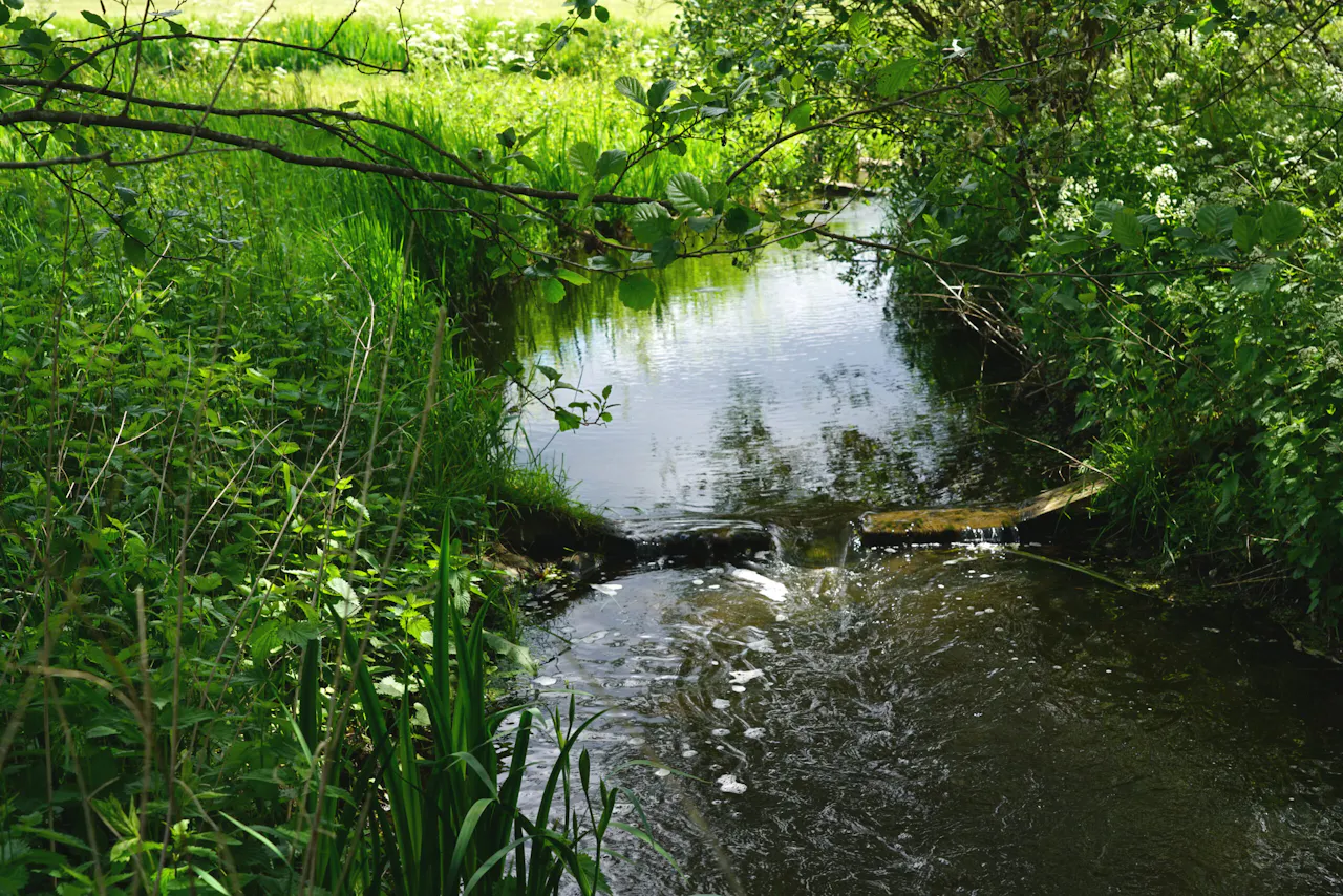 Vistrap Barneveldse Beek