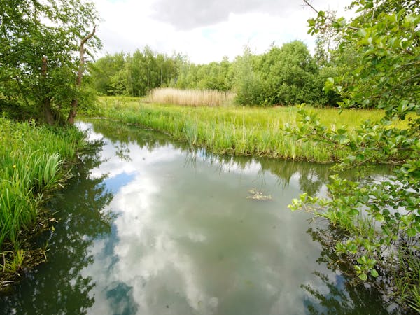 water in Bloeidaal