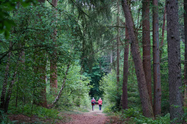 Wandelaars op Moersbergen