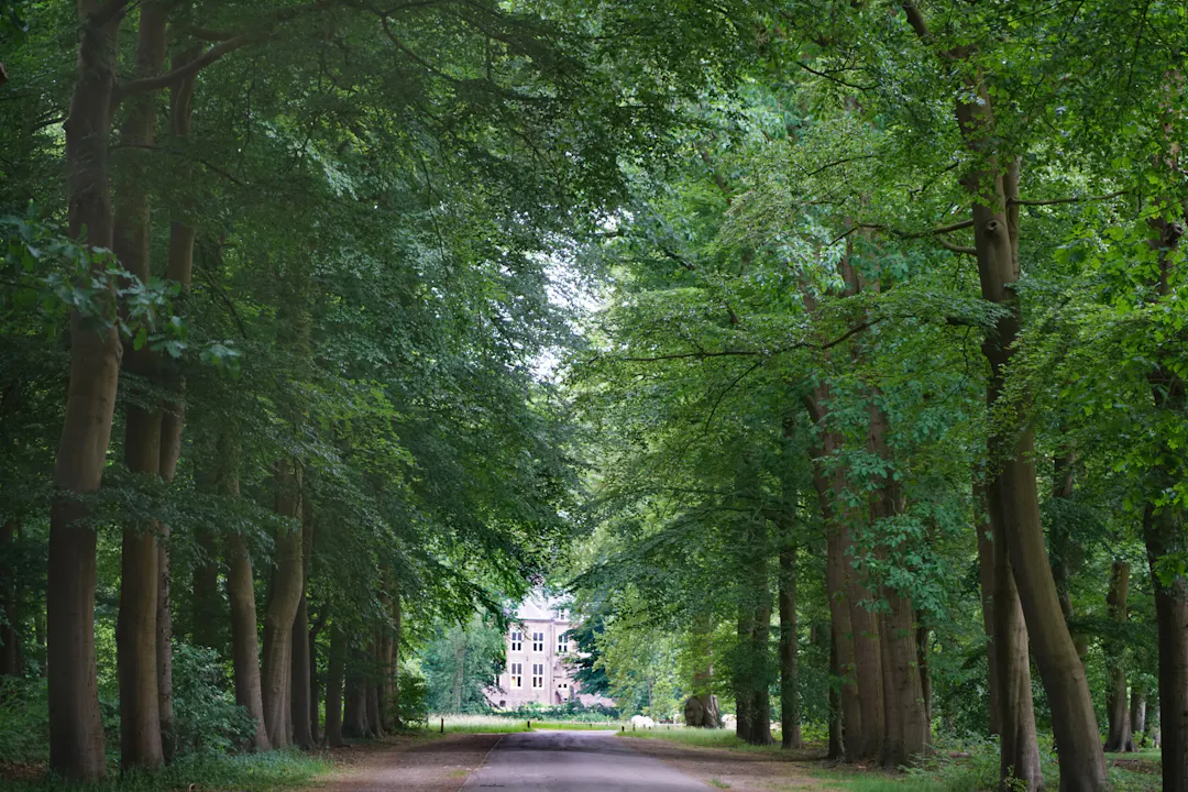 Moersbergen oprijlaan