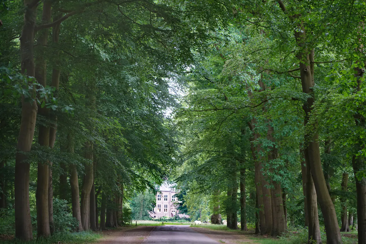 Moersbergen oprijlaan