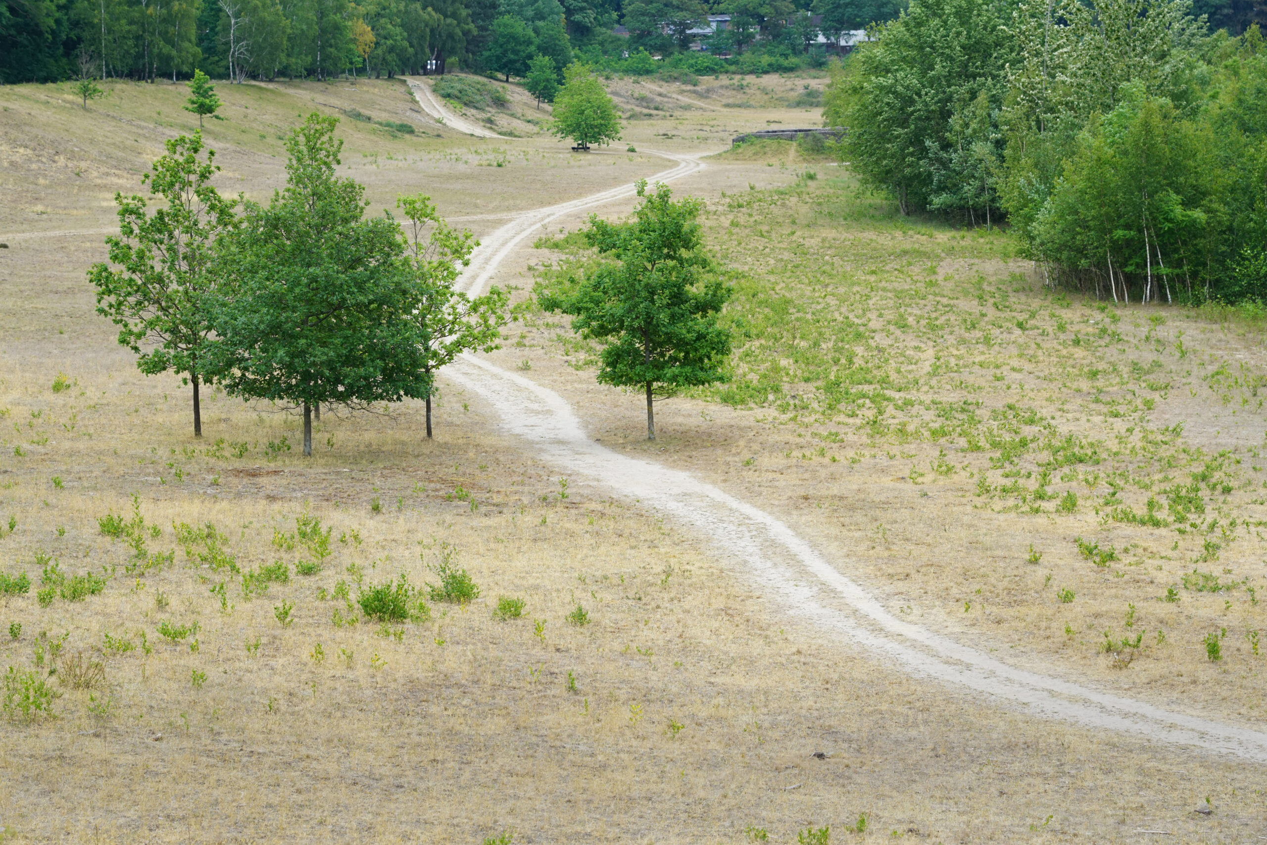 wandelpad Zanderij Maarn