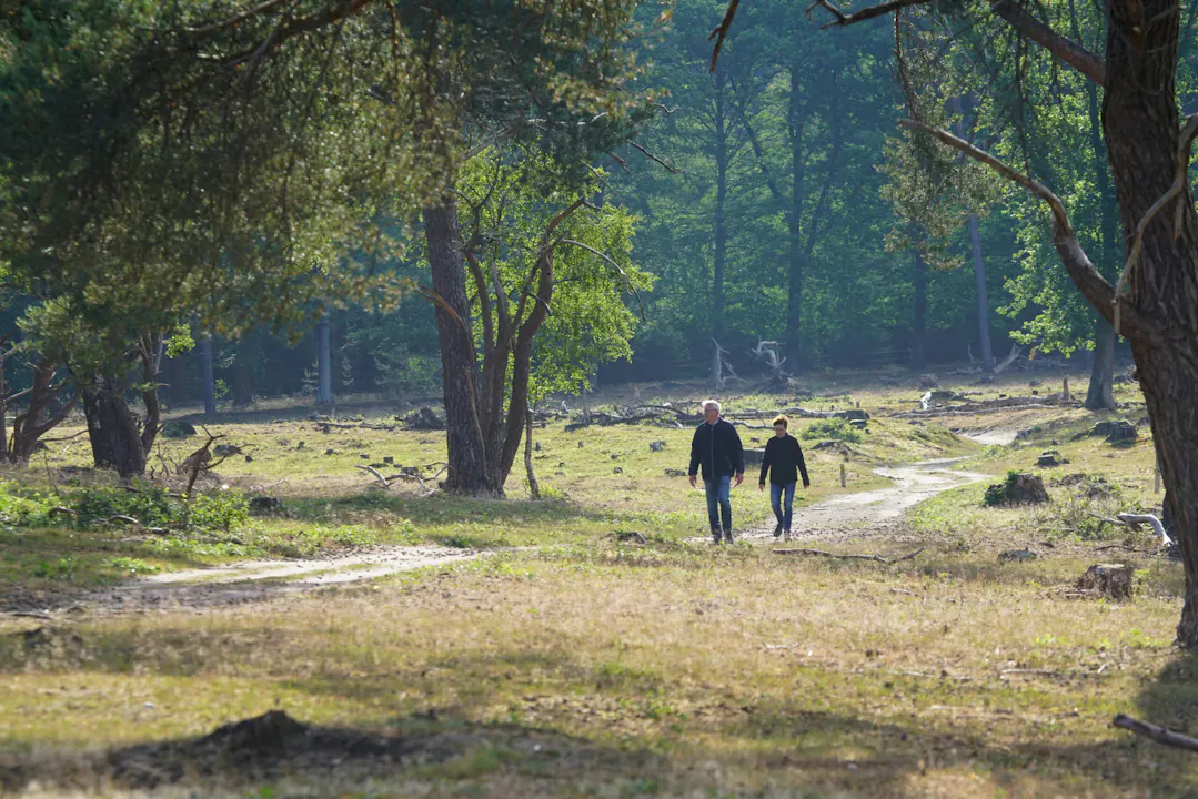 Wandelaars op Plantage Willem III