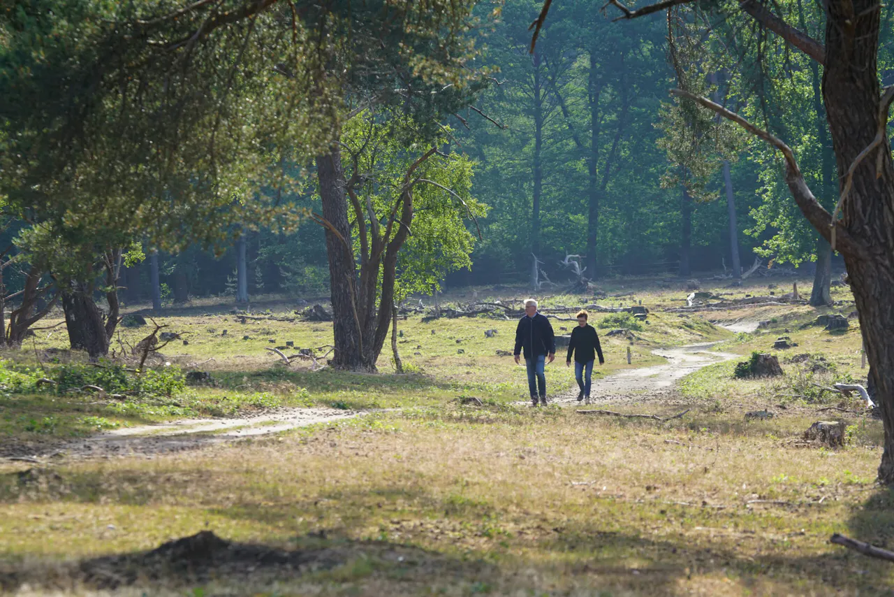 Wandelaars op Plantage Willem III