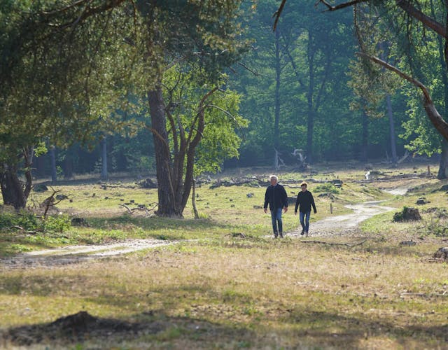 Wandelaars op Plantage Willem III