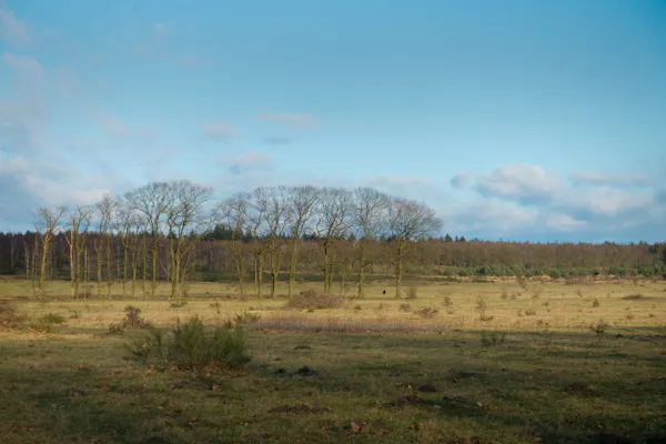 Plantage Willem III
