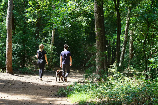 Wandelaars met hond Pleinesbos