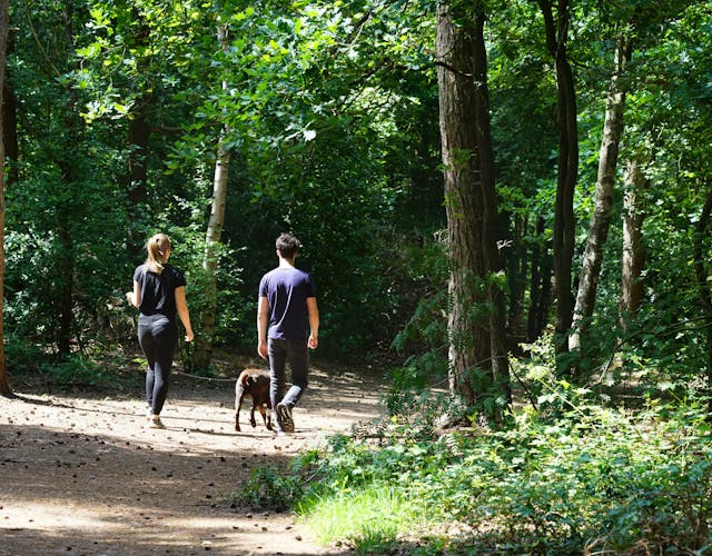 Wandelaars met hond Pleinesbos