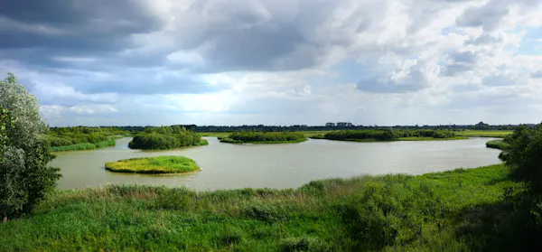Uitzicht over Amerongse Bovenpolder