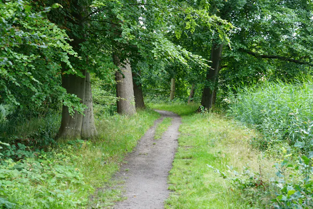wandelpad Blikkenburg