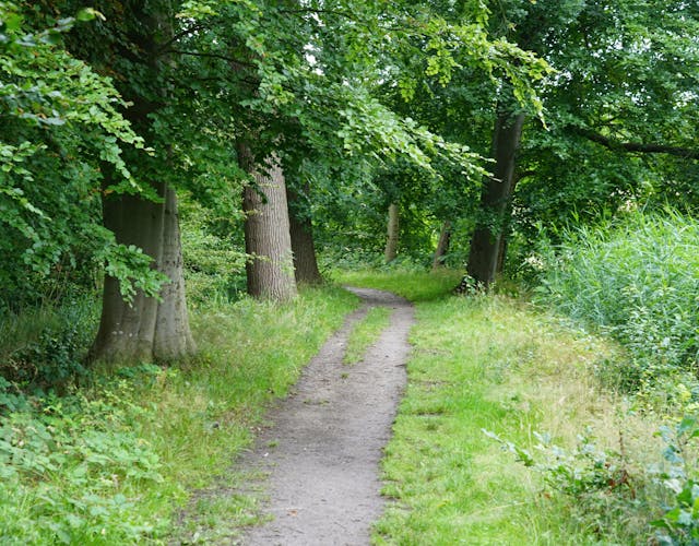 wandelpad Blikkenburg