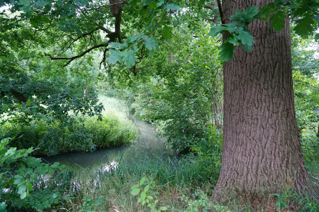 Blikkenburg