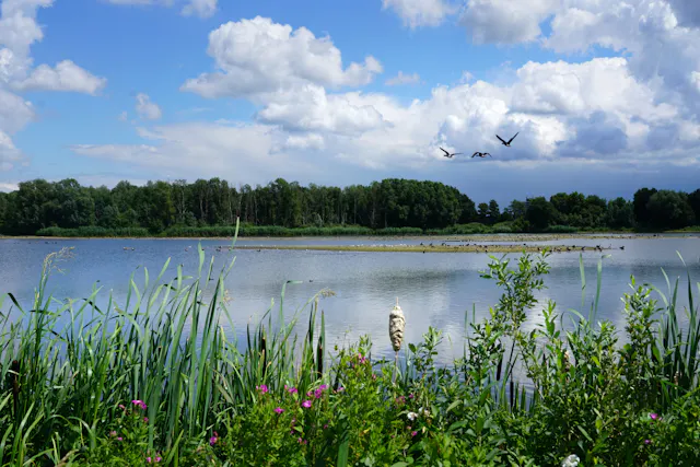 Hooge Kampse Plas
