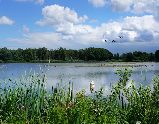Hooge Kampse Plas