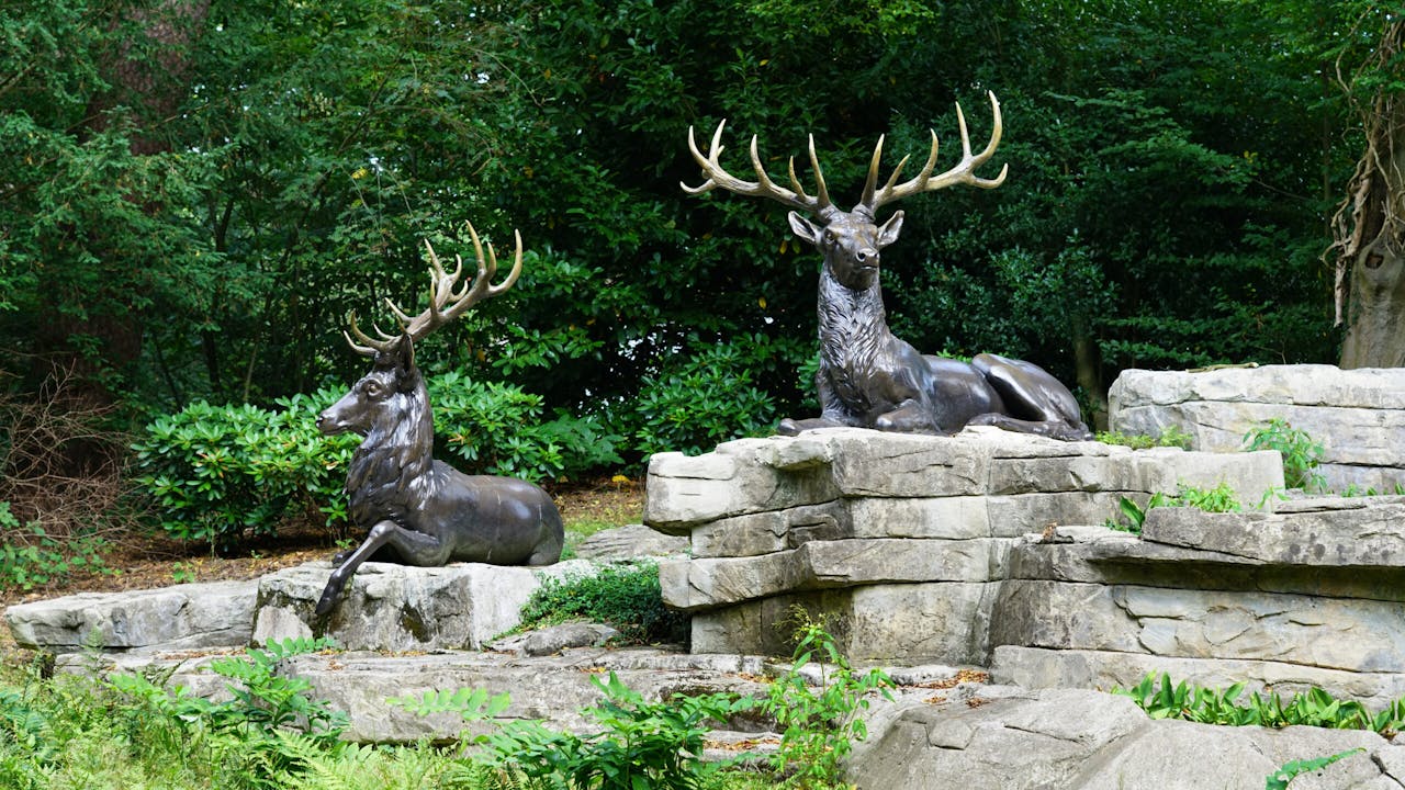 hertenbeelden Zeisterbos