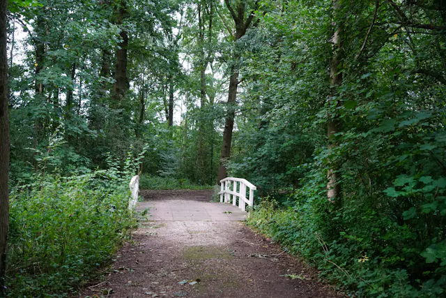 brug Niënhof