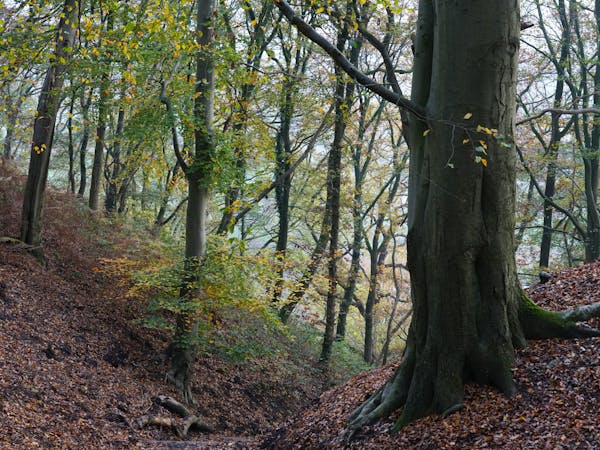 Grebbeberg