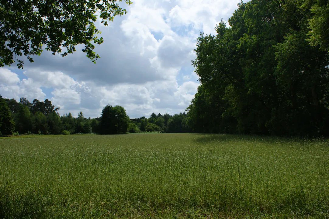 Akker Ridderoordse Bos